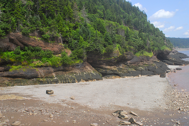 Best Campgrounds in Bay of Fundy