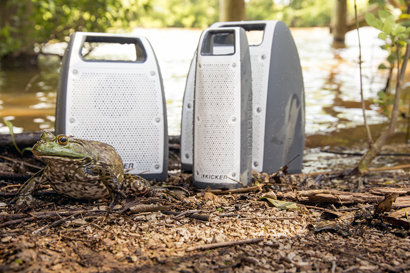 Kicker’s line of Bullfrog Bluetooth speakers for use in the outdoors expands with two new models. The BF100 and BF200 are rugged, waterproof, provide 360º of sound, and offer excellent battery life. 