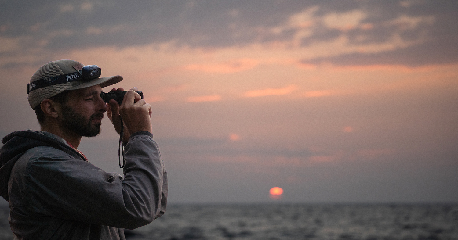 https://outdoorx4.com/wp-content/uploads/2026/09/NocsIntro.jpg