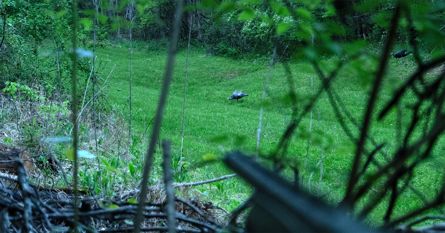https://outdoorx4.com/wp-content/uploads/2026/10/HuntIntro.jpg